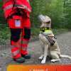 Einsatz 12.5.2026 🚨