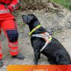 Einsatz 1.6.2026 🚨