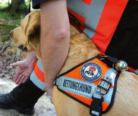 Rettungshund wird zur Suche geschickt | Rettungshunde