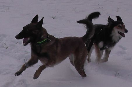 Treffen zwischen Marcus und Nugget