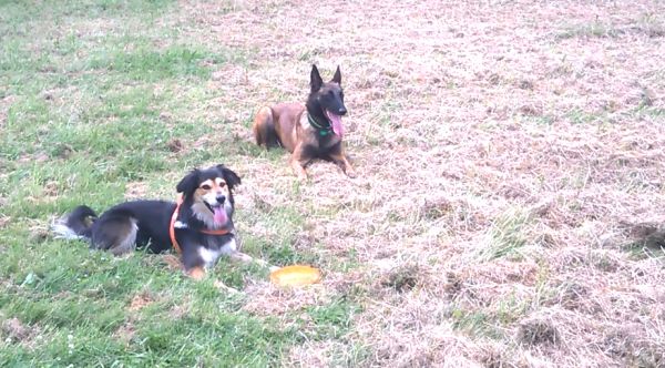 Marcus und Nugget