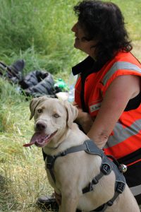 Harley und Hundeführerin Edeltraud - Trainingscamp Tschechien 2017