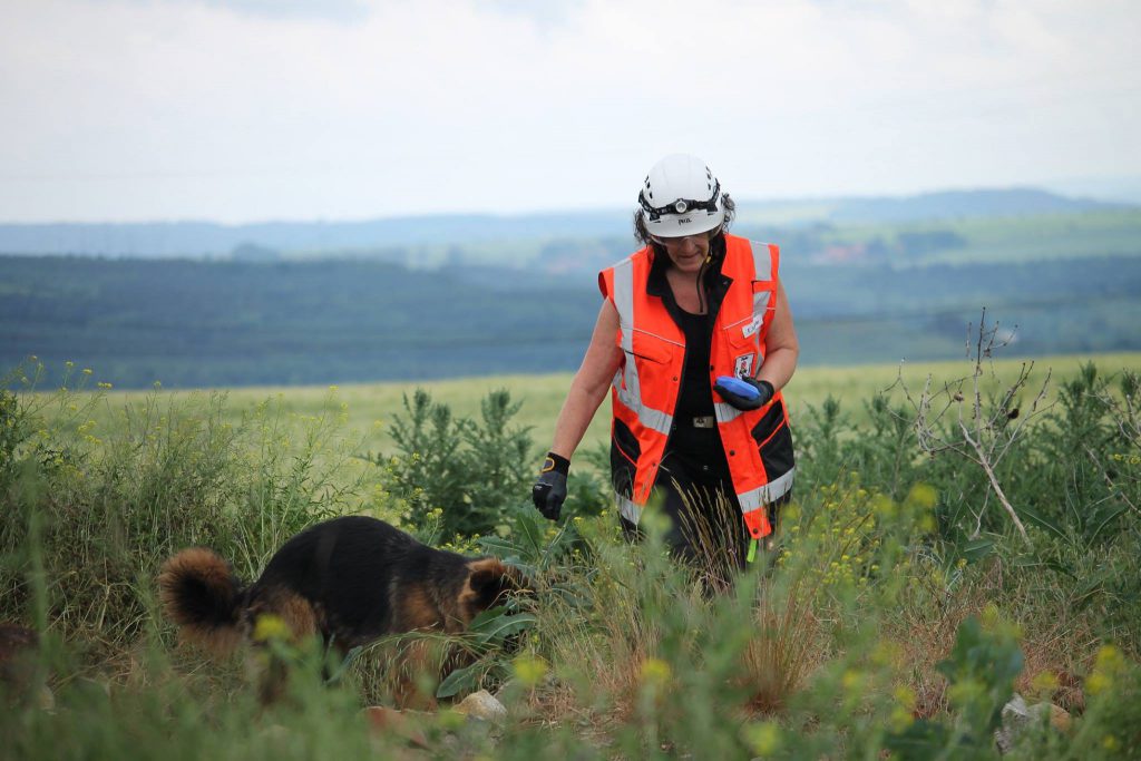 Bestätigung des Hundes - Trainingscamp Tschechien 2017