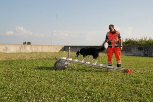 30.06.2018 Vorführung Lange Fildernacht Thomas und Cocco