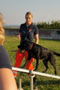 30.06.2018 Vorführung Lange Fildernacht Emma und Lisa