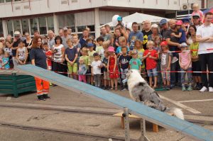 60 Jahre Hafen - Vorführung: Agnes und Elja