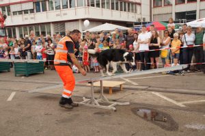 60 Jahre Hafen - Vorführung: Thomas und Cocco