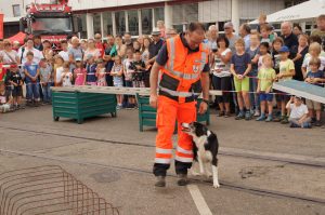 60 Jahre Hafen - Vorführung: Thomas und Cocco