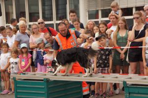 60 Jahre Hafen - Vorführung: Thomas und Cocco