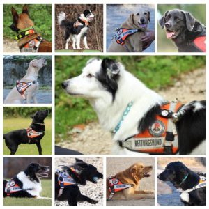 Internationaler Tag des Rettungshundes