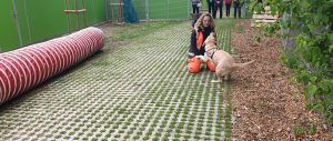 Harley bei der Vorführung - Tierheimfest Esslingen 2019