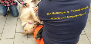 Harley lässt sich streicheln - Tierheimfest Böblingen 19.05.2019