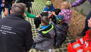 Mephisto geniesst die Streicheleinheiten der Kinder nach der Vorführung - Tierheimfest Esslingen 2019