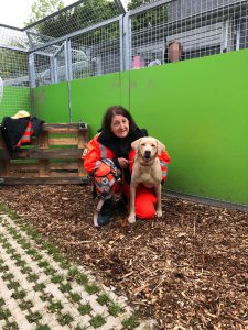 Harley und Edeltraud - Tierheimfest Esslingen 2019