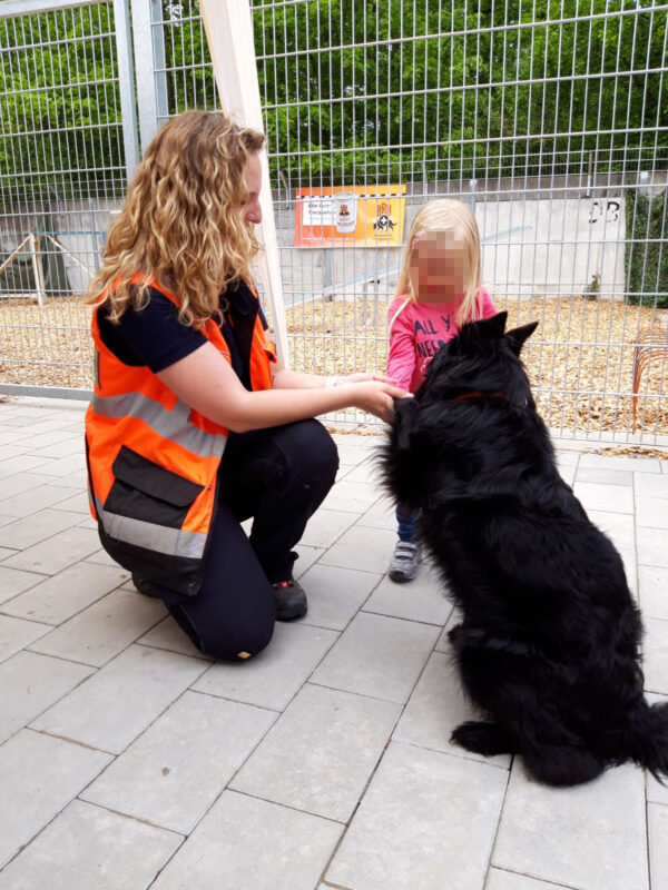 Streicheleinheiten von den Kindern sind toll - Tierheimfest Böblingen 19.05.2019