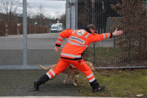 Winnie im Training im F3 Fellbach