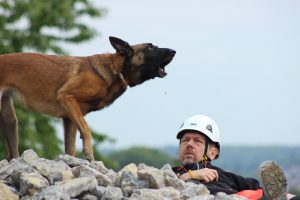 Nugget im Training in Filderstadt