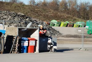 Leo im Training in Bretten