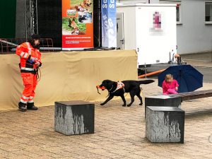 Kirchplatzfest Sielmingen - Mephisto hat erfolgreich gefunden und angezeigt