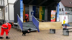Kirchplatzfest Sielmingen - Nero in der Suche