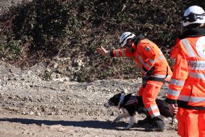 Cocco im Training in Bretten