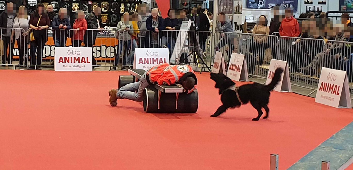 Animal 2019: Nero zeigt die Person an