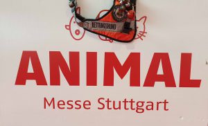 Animal Messe: wir waren dabei!