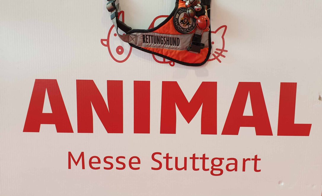 Animal Messe: wir waren dabei!