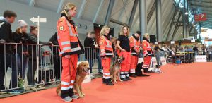 Animal 2019: Unser Vorführteam