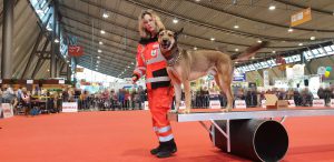 Animal 2019: Basti auf der Fassbrücke