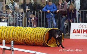 Animal 2019: Mephisto läuft durch den Tunnel