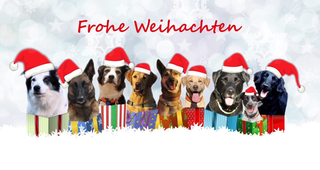 Weihnachten 2019