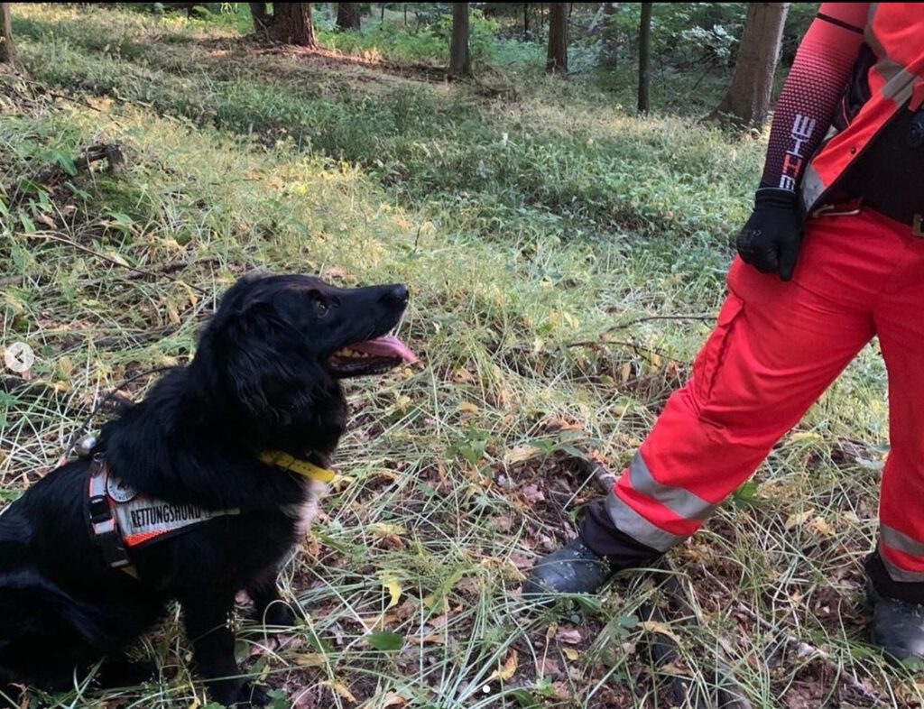 Einsatz in Neckartenzlingen | Rettungshund Nero in der Suche