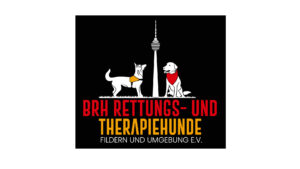 Ein Rettungshund und ein Besuchshund, dazwischen der Fernsehturm Stuttgart | LOGO BRH Fildern