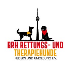 Ein Rettungshund und ein Besuchshund, dazwischen der Fernsehturm Stuttgart | LOGO BRH Fildern