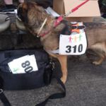 Lila Spendenlauf 2017 - Lila