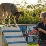 Basti und Gabriela 30.06.2018 Vorführung Lange Fildernacht Basti und Gabriela