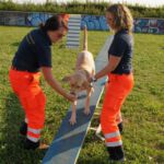 Edeltraud, Harley und Anja 30.06.2018 Vorführung Lange Fildernacht Edeltraud, Harley und Anja