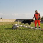 Thomas und Cocco 30.06.2018 Vorführung Lange Fildernacht Thomas und Cocco