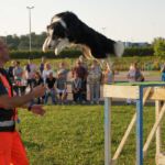 Thomas und Cocco 30.06.2018 Vorführung Lange Fildernacht Thomas und Cocco