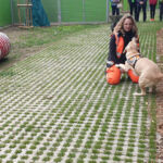 Harley bei der Vorführung - Tierheimfest Esslingen 2019