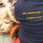 Harley lässt sich streicheln - Tierheimfest Böblingen 19.05.2019