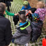 Mephisto geniesst die Streicheleinheiten der Kinder nach der Vorführung - Tierheimfest Esslingen 2019