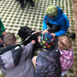 Mephisto gefällt es gekrault zu werden - Tierheimfest Esslingen 2019