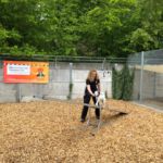 Auch die Kleinsten durften zeigen, was sie können - Tierheimfest Böblingen 19.05.2019