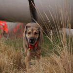 Basti in der Suche Basti im Training im F§ in Fellbach