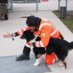 Dosh wird in die Suche geschickt Dosh im Training im F3 Fellbach