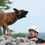 Nugget bei der Anzeige einer Person Nugget im Training in Filderstadt