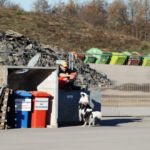 Leo hat eine Person gefunden und zeigt diese an Leo im Training in Bretten