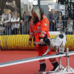 Animal 2019: Mera auf der Wippe Animal 2019: Mera auf der Wippe